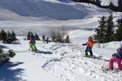 IMG-20190320-WA0002