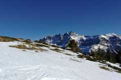 IMG-20200224-WA0004
