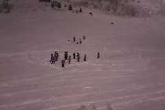 IMG-20200226-WA0028