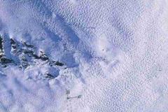 IMG-20200313-WA0014