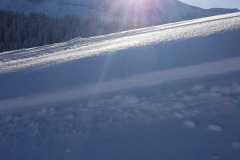 IMG-20210116-WA0014