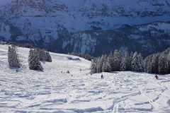 IMG-20210116-WA0017