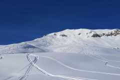 IMG-20210116-WA0019