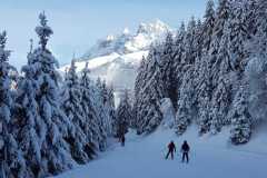 IMG-20210116-WA0020