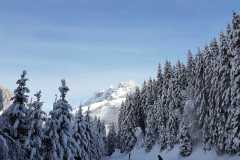 IMG-20210116-WA0023