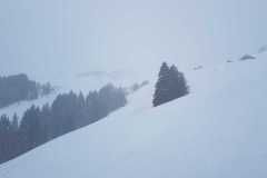 IMG-20210127-WA0022