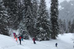 IMG-20210210-WA0027