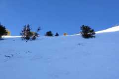 IMG-20210217-WA0012