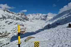 IMG-20210306-WA0012