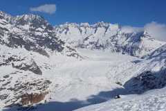 IMG-20210306-WA0016