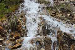 IMG-20210612-WA0009