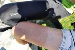 IMG-20210918-WA0008