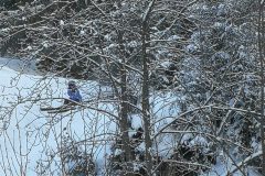 IMG_20210213_115937-scaled