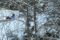 IMG_20210213_115943-scaled