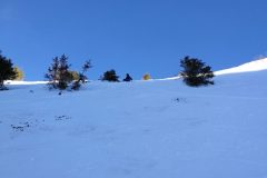 IMG_20210217_155949-scaled