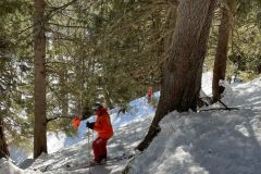 IMG-20220227-WA0012