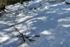 IMG-20220227-WA0013