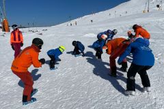 IMG-20220305-WA0006
