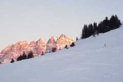 IMG-20220305-WA0016