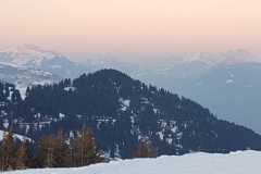 IMG-20220305-WA0018