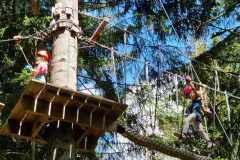 IMG-20230712-WA0003