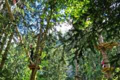 IMG-20230712-WA0004