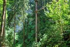 IMG-20230712-WA0005