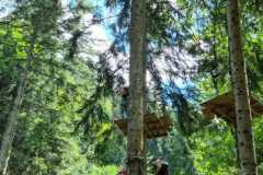 IMG-20230712-WA0007