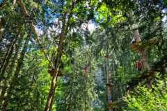 IMG-20230712-WA0008