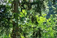 IMG-20230712-WA0010