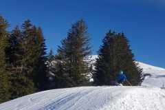 IMG-20240207-WA0019