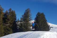 IMG-20240207-WA0020