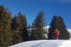 IMG-20240207-WA0021
