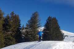 IMG-20240207-WA0022