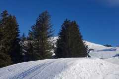 IMG-20240207-WA0026