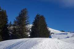 IMG-20240207-WA0027