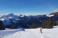 IMG-20240213-WA0005