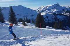 IMG-20240213-WA0006