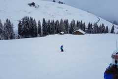 IMG-20240306-WA0006