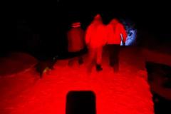 IMG-20250215-WA0003