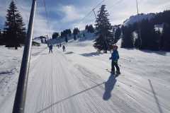 IMG-20250306-WA0002