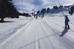 IMG-20250306-WA0003