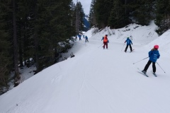 IMG20250212155214