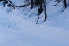 IMG20250216132922