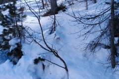 IMG20250216132930